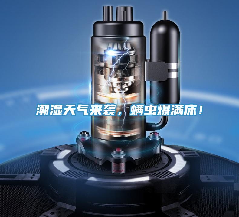 潮湿天气来袭，螨虫爆满床！