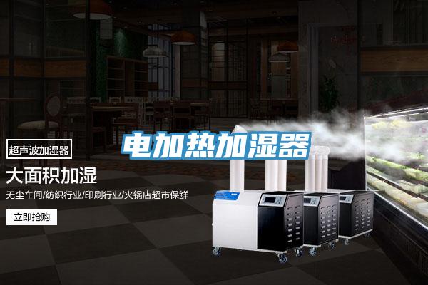 电加热加湿器
