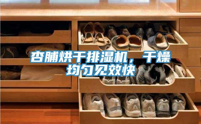 杏脯烘干排湿机，干燥均匀见效快