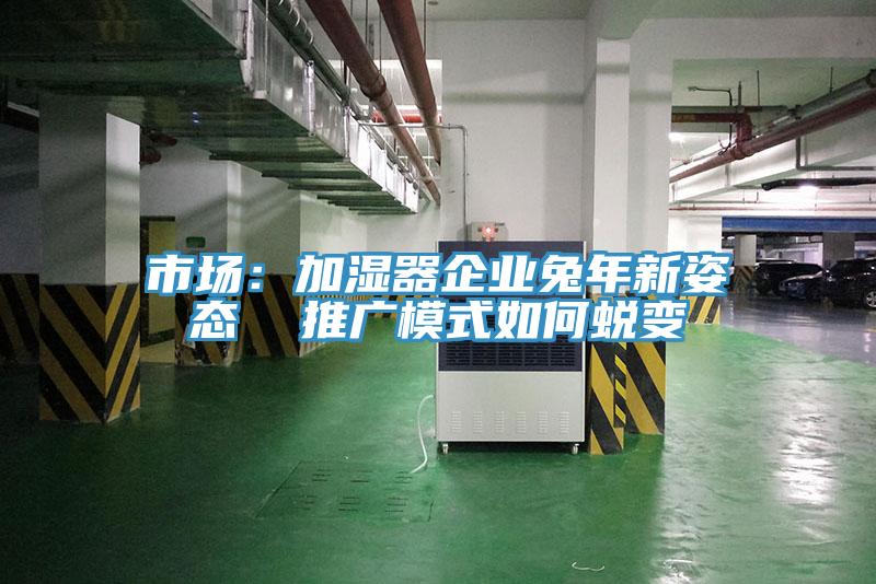 市场：加湿器企业兔年新姿态  推广模式如何蜕变