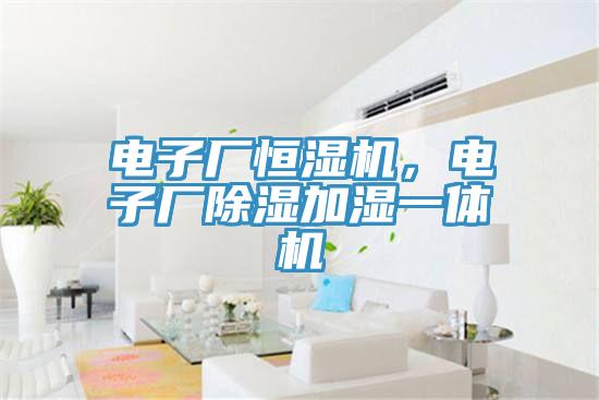 电子厂恒湿机，电子厂除湿加湿一体机