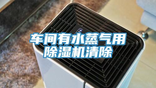 车间有水蒸气用除湿机清除