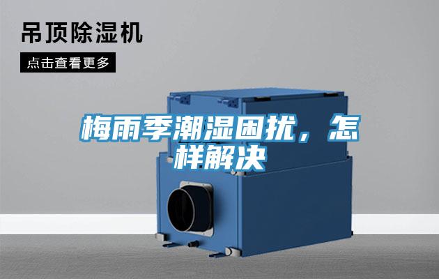 梅雨季潮湿困扰，怎样解决