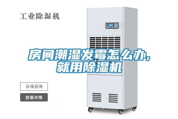 房间潮湿发霉怎么办,就用除湿机