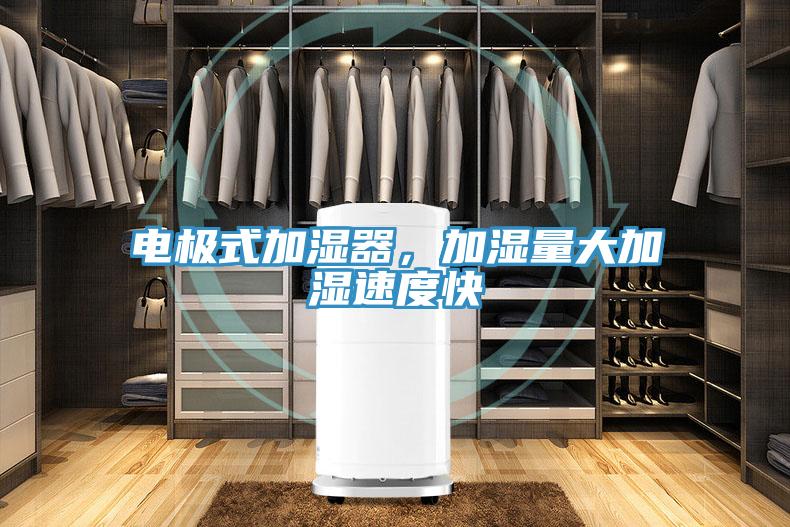电极式加湿器，加湿量大加湿速度快