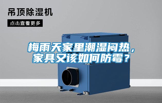 梅雨天家里潮湿闷热，家具又该如何防霉？