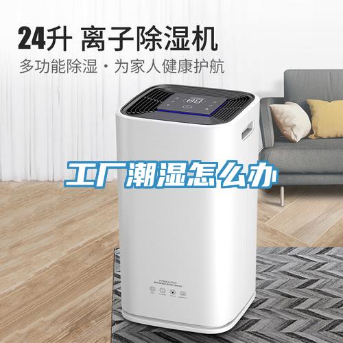 工厂潮湿怎么办