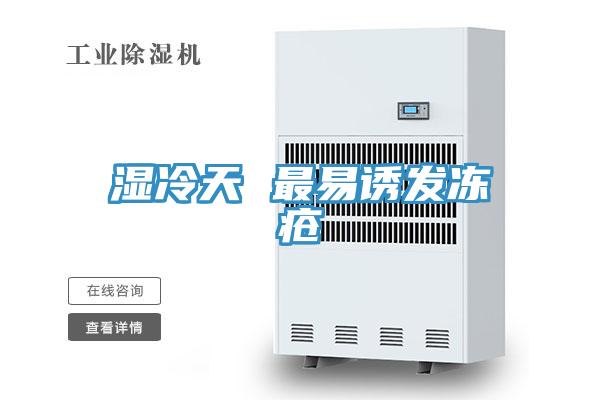 湿冷天 最易诱发冻疮