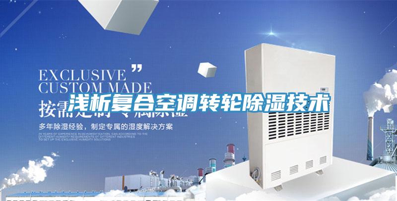 浅析复合空调转轮除湿技术