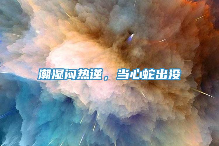 潮湿闷热谨，当心蛇出没