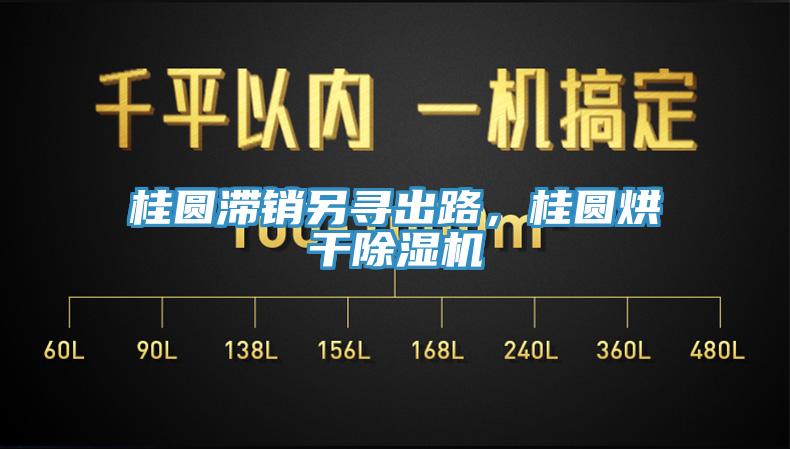 桂圆滞销另寻出路，桂圆烘干除湿机