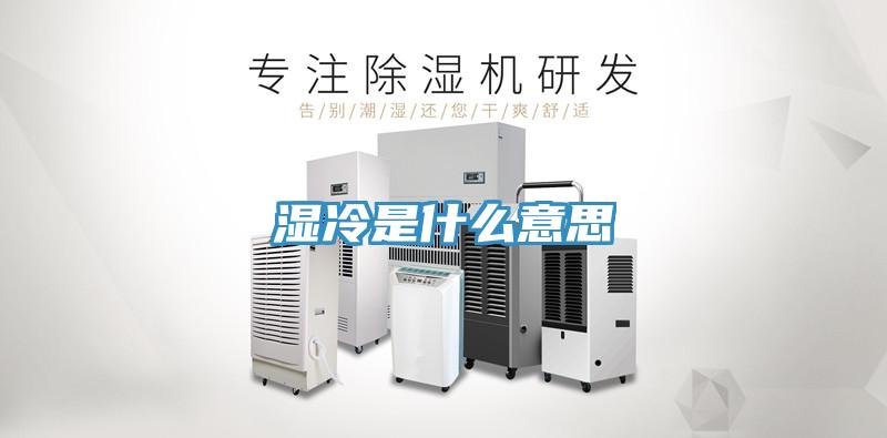 湿冷是什么意思