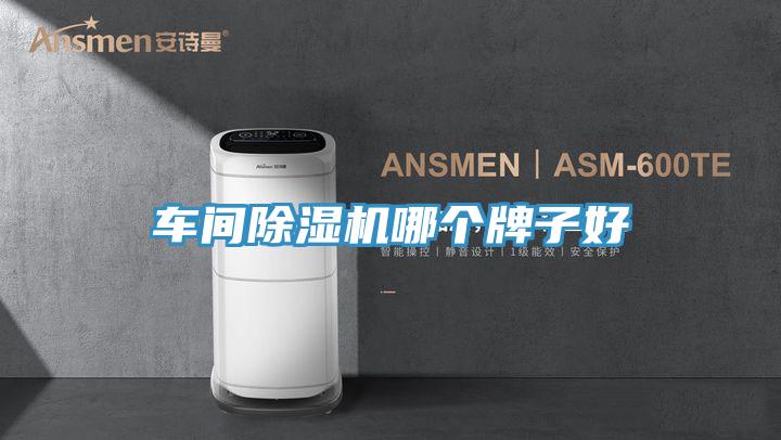 车间除湿机哪个牌子好