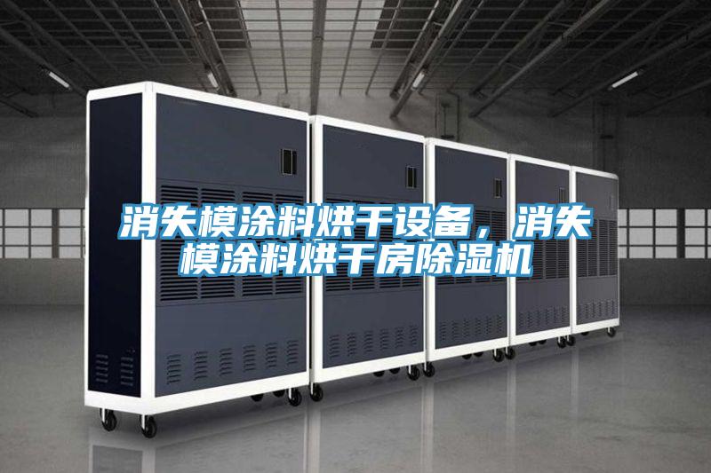 消失模涂料烘干设备，消失模涂料烘干房除湿机