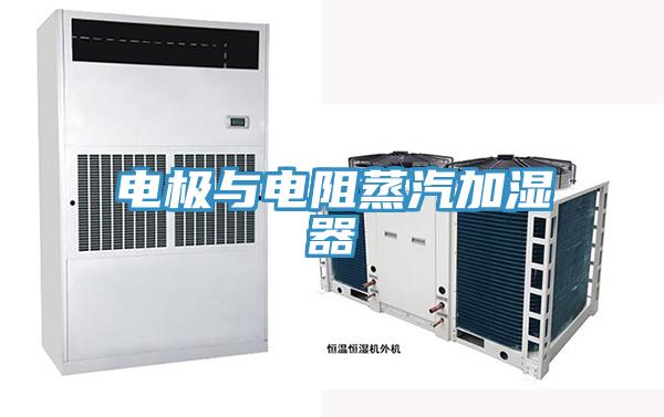 电极与电阻蒸汽加湿器