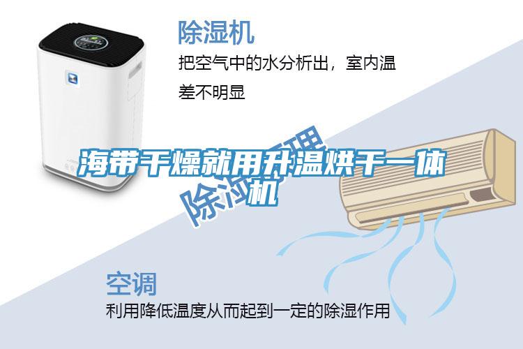 海带干燥就用升温烘干一体机