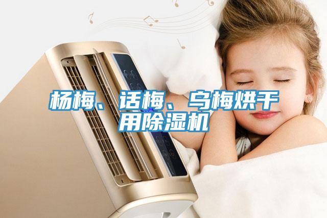 杨梅、话梅、乌梅烘干用除湿机