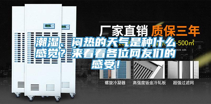 潮湿、闷热的天气是种什么感觉？来看看各位网友们的感受！