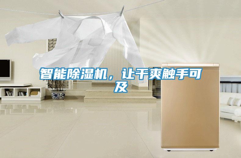 智能除湿机，让干爽触手可及