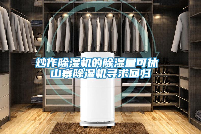 炒作除湿机的除湿量可休 山寨除湿机寻求回归