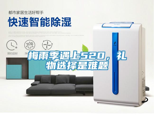 梅雨季遇上520，礼物选择是难题