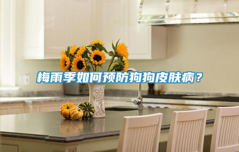 梅雨季如何预防狗狗皮肤病？
