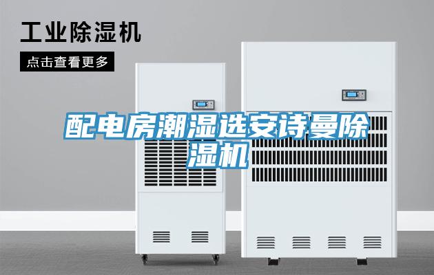配电房潮湿选安诗曼除湿机