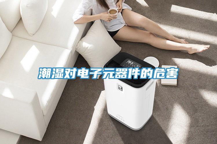 潮湿对电子元器件的危害