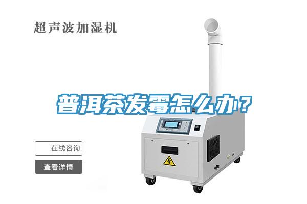 普洱茶发霉怎么办?