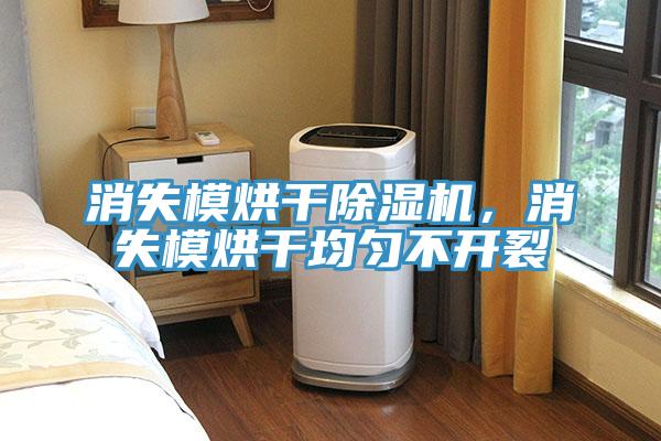 消失模烘干除湿机，消失模烘干均匀不开裂