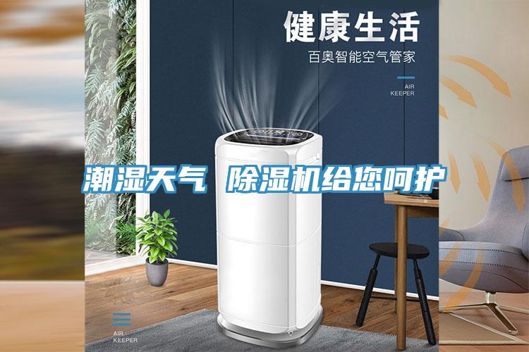 潮湿天气 除湿机给您呵护