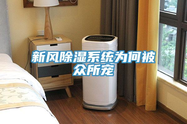 新风除湿系统为何被众所宠