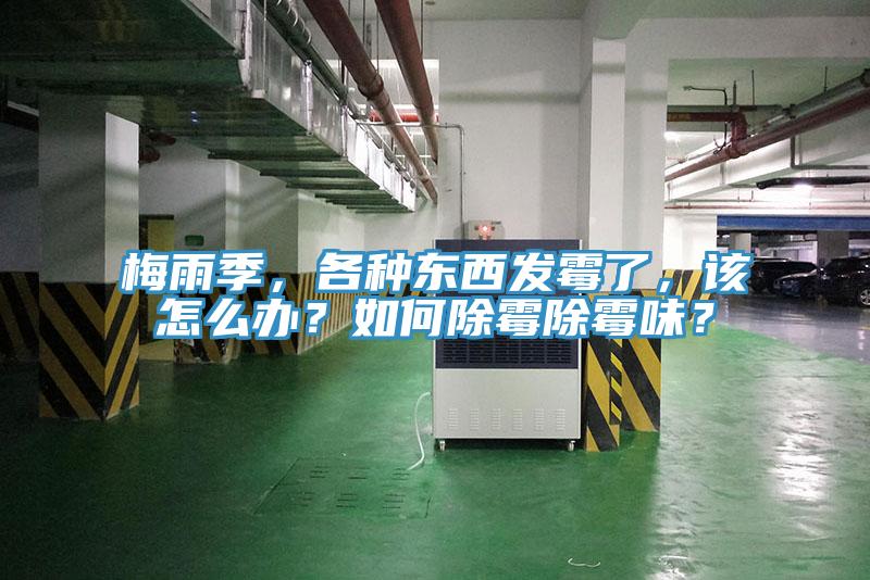 梅雨季，各种东西发霉了，该怎么办？如何除霉除霉味？