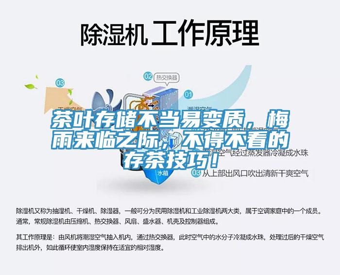 茶叶存储不当易变质，梅雨来临之际，不得不看的存茶技巧！