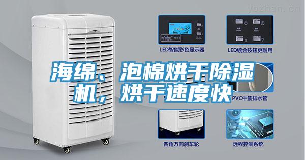 海绵、泡棉烘干除湿机，烘干速度快