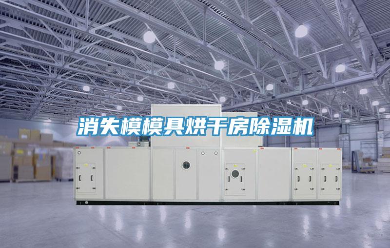 消失模模具烘干房除湿机