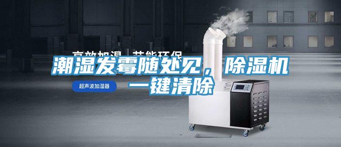 潮湿发霉随处见，除湿机一键清除