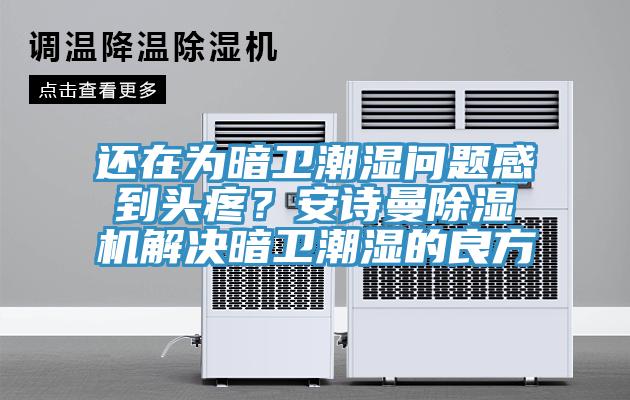 还在为暗卫潮湿问题感到头疼？安诗曼除湿机解决暗卫潮湿的良方