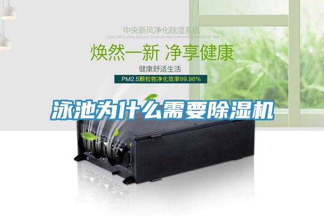 泳池为什么需要除湿机