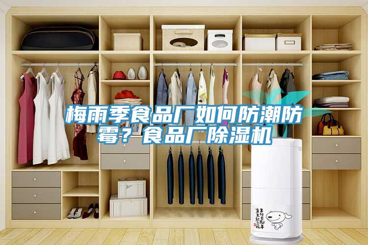 梅雨季食品厂如何防潮防霉？食品厂除湿机