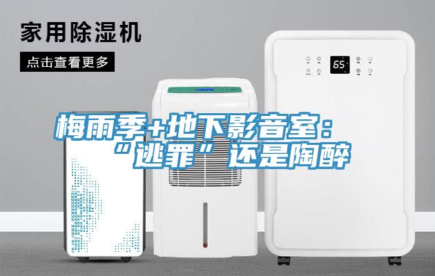 梅雨季+地下影音室：“逃罪”还是陶醉