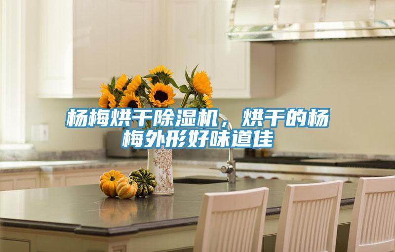 杨梅烘干除湿机，烘干的杨梅外形好味道佳