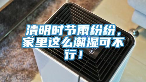 清明时节雨纷纷，家里这么潮湿可不行！