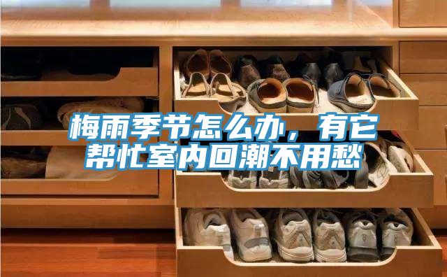梅雨季节怎么办，有它帮忙室内回潮不用愁