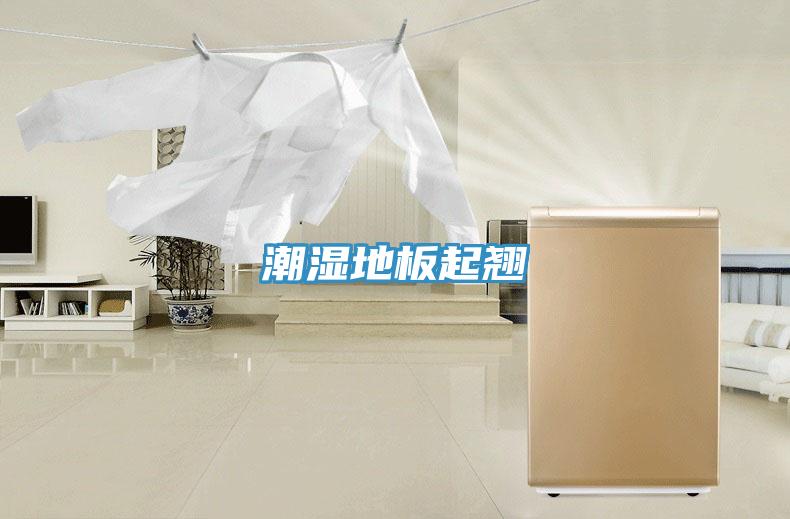潮湿地板起翘