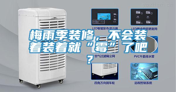 梅雨季装修，不会装着装着就“霉”了吧？
