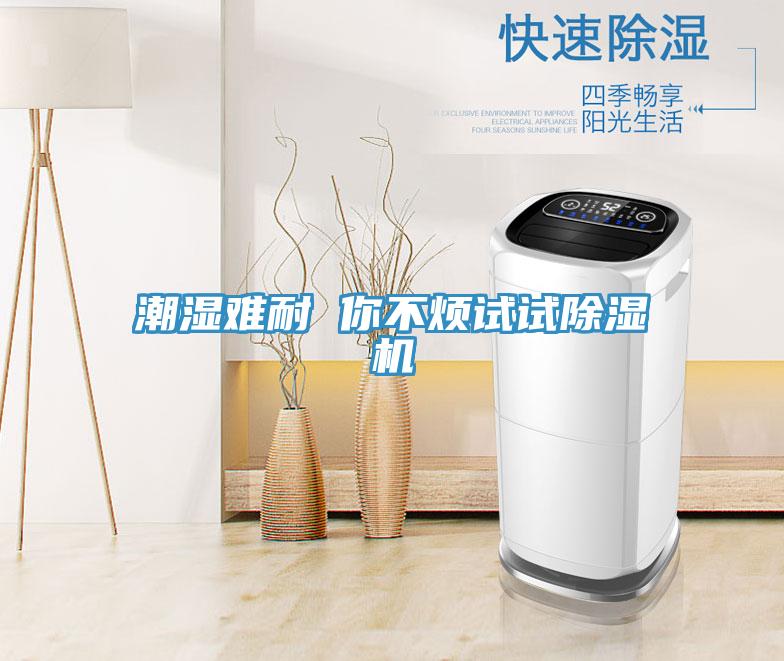 潮湿难耐 你不烦试试除湿机