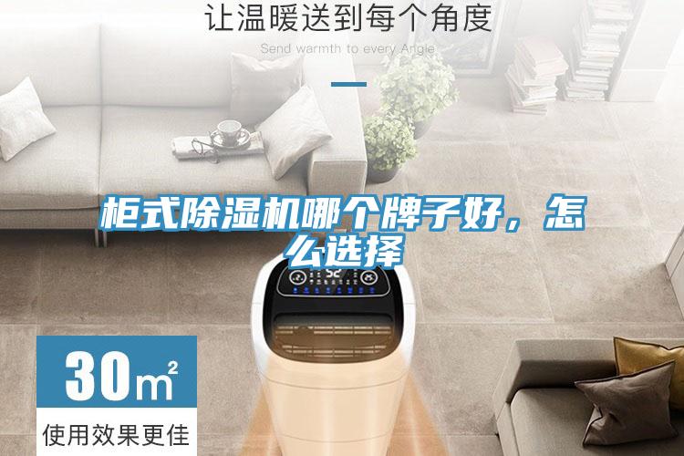 柜式除湿机哪个牌子好，怎么选择