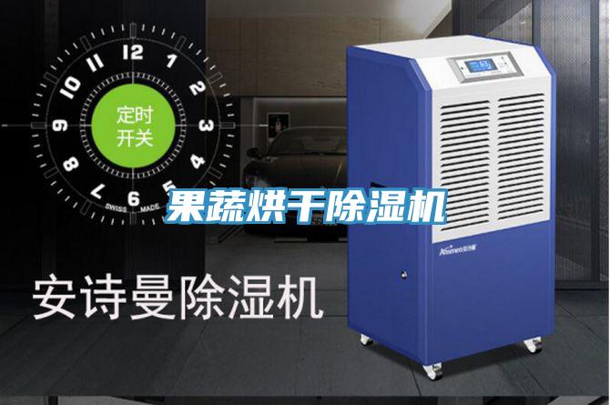 果蔬烘干除湿机