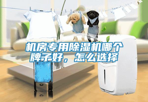 机房专用除湿机哪个牌子好，怎么选择